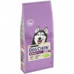 Dog Chow SENIOR (для стареющих собак) Ягненок 2,5 кг - Зоомир66 Екатеринбург