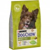 Dog Chow Adult для взрослых собак с курицей 14 кг - Зоомир66 Екатеринбург