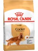 Royal Canin (Роял Канин) сухой корм Кокер Спаниель 3 кг - Зоомир66 Екатеринбург