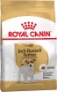 Royal Canin (Роял Канин) сухой корм Джек Рассел Терьер 0,5 кг - Зоомир66 Екатеринбург