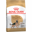 Royal Canin (Роял Канин) сухой корм Немецкая овчарка 3 кг - Зоомир66 Екатеринбург