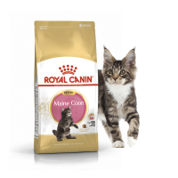 Royal Canin (Роял Канин) сухой корм Киттен Мэйн Кун 0,4кг - Зоомир66 Екатеринбург