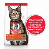 Hill's (ХИЛЛc) Корм сух.для кошек Ягненок 300гр - Зоомир66 Екатеринбург