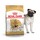 Royal Canin (Роял Канин) сухой корм Мопс 1,5 кг - Зоомир66 Екатеринбург