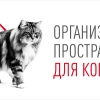 Как обустроить дом для кошки? - Зоомир66 Екатеринбург